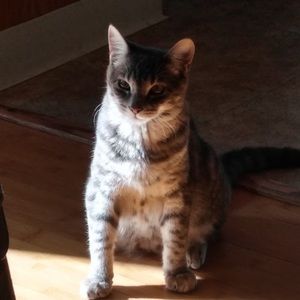 Meet your Posher, Alejandra